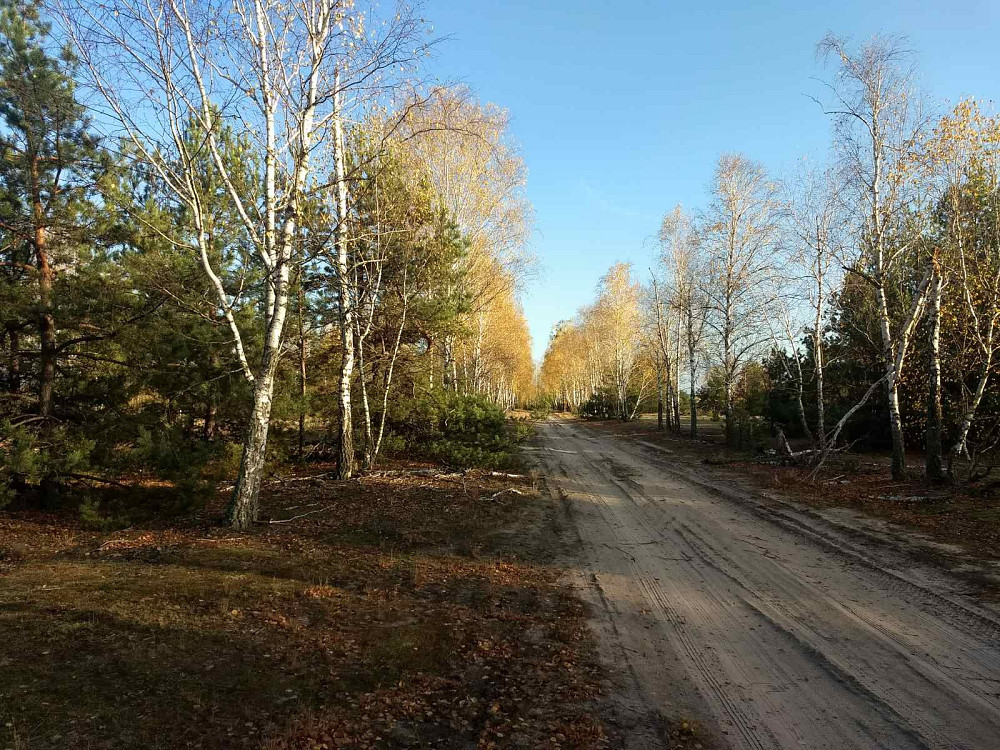 Земельный участок под садоводчество и постройку дома 12 соток в с. Дружня, Бородянского района Бородянка - зображення 4