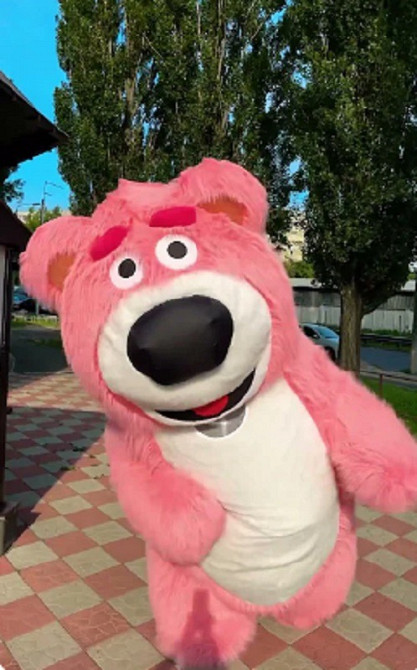 Ведмідь костюм Київ - зображення 1