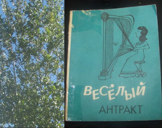 День за днём 