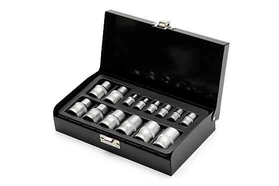 Набор головок торцевых E-TORX MASTERTOOL ¼" E4-E10 ½" E10-E22 CrV 14 шт металлический кейс 78-1414 Харків