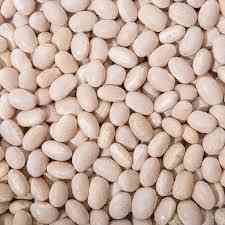 Посівмат квасолі з гарантією викупу врожаю. Житомир