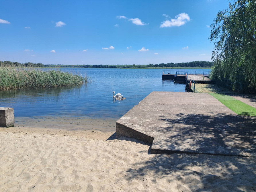 Оренда (подобово) Будиночок сімейного затишку на 2 спальних місця Кривий Ріг - зображення 8