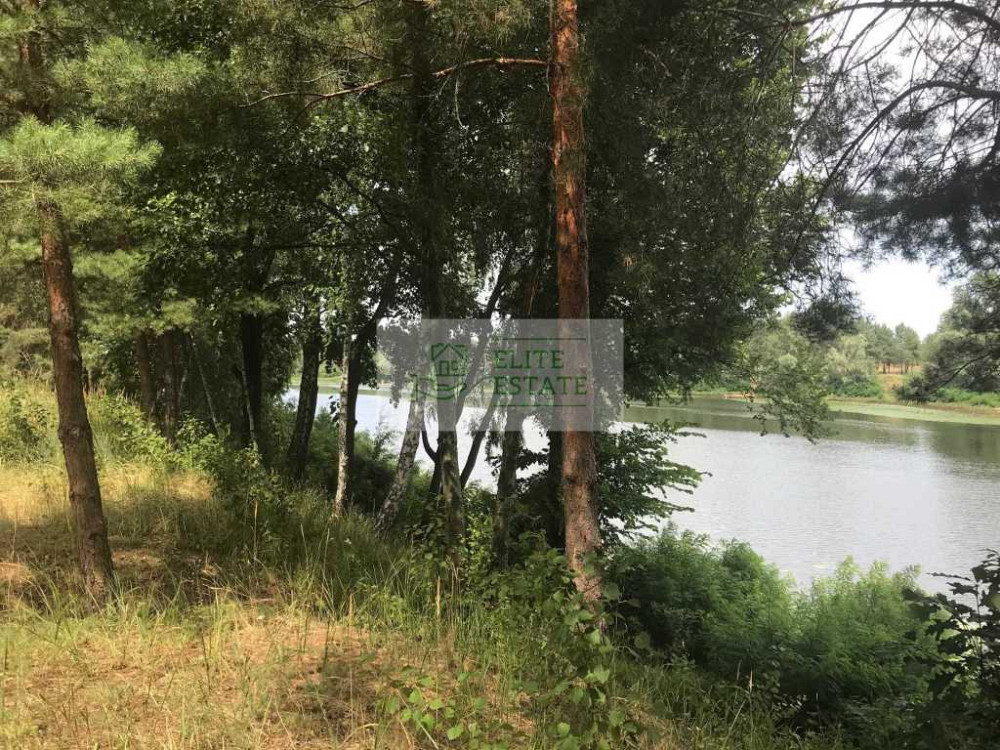 продажа земля сельскохозяйственного назначения Вышгородский, Лебедевка, 220000 $  - зображення 11