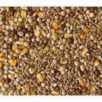 Постійно закуповуємо зерновідходи с/г культур та некондицію Кропивницкий