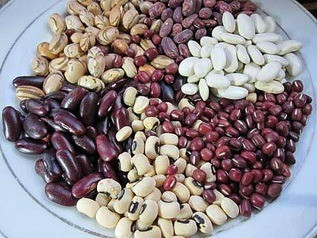 Квасоля оптом Днепр - изображение 1