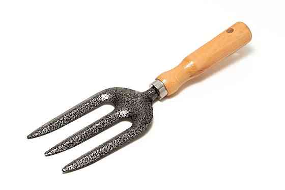 Вилы садовые MASTERTOOL 265х80 мм с деревянной ручкой 14-6192 Харків