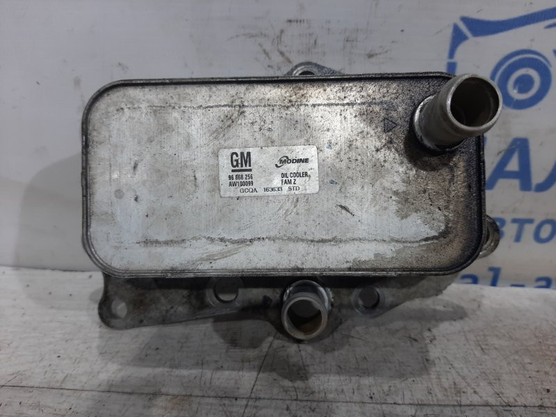 Радиатор масляный ДВС (теплообменник) Chevrolet Captiva C140 2.2 ДИЗЕЛЬ 2006 (б/у) Киев - изображение 1