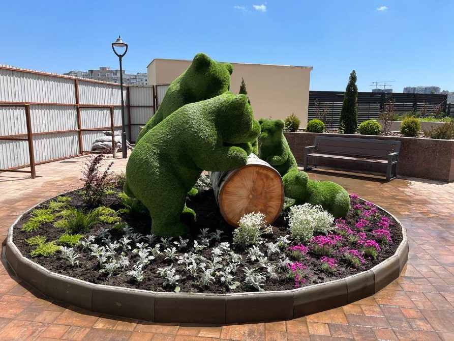 Топиарное искусство под заказ «утро в сосновом лесу» Київ - зображення 4