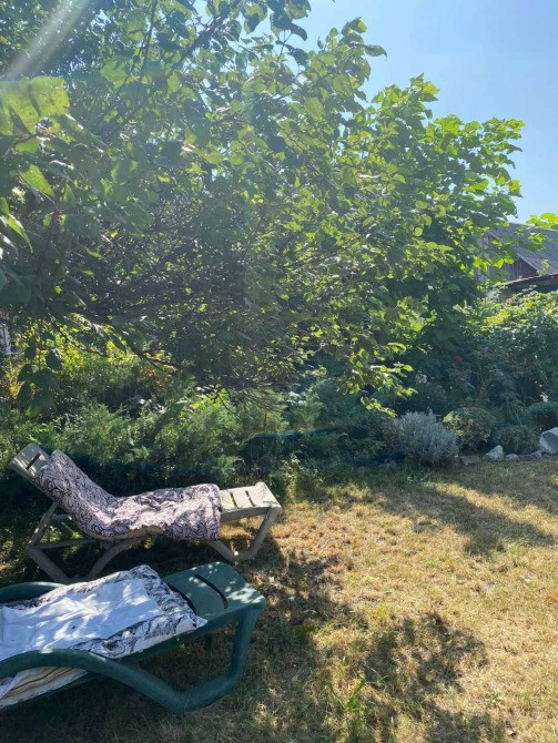 Продається будинок у затишному селі Саливонки, Білоцерківський район! Біла Церква - зображення 3