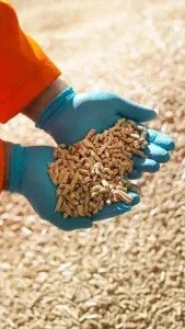 Гранула та пелета з дерева Киев - изображение 1