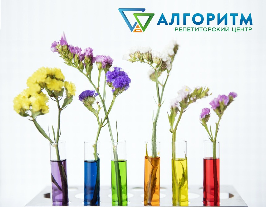 Підготовка до національного мультипредметного тесту (НМТ) у Дніпрі Дніпро - зображення 1