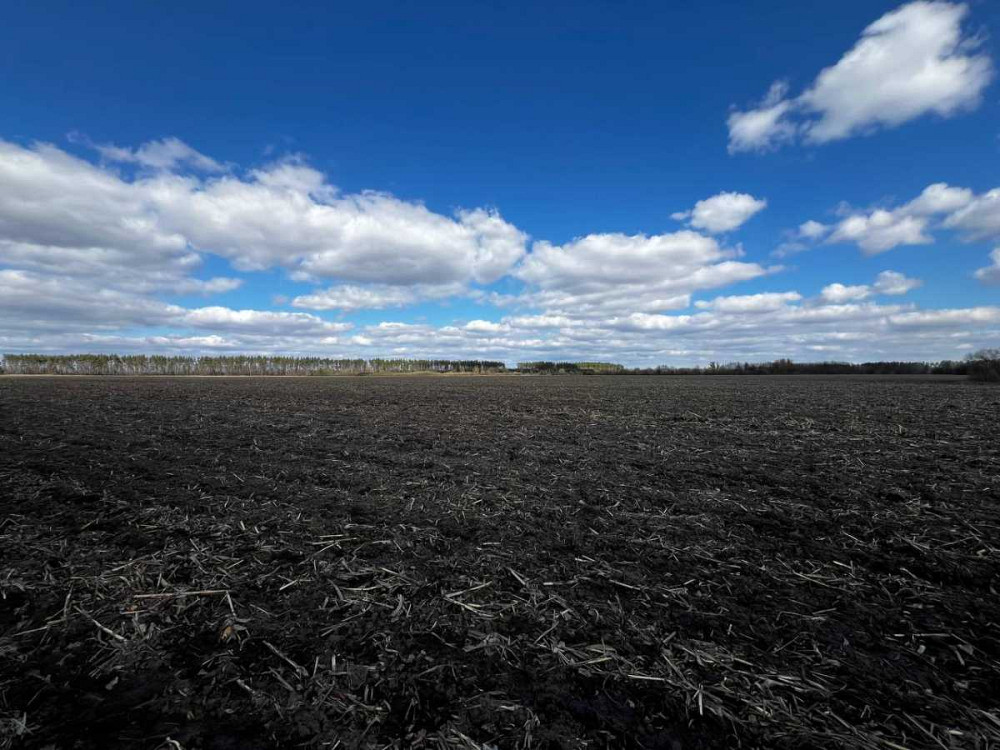 Продаж двох зем.ділянок Грузьке,загальна площа 4,8722 га!Від власника!  - зображення 11