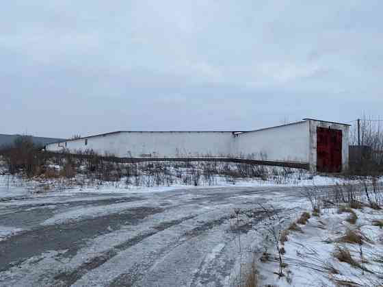 Продам два овочесховища Київ