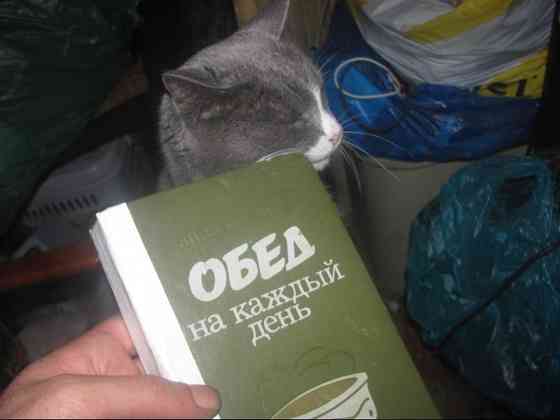 Что сказать? Двум прохожим из Астаны, Психология изьм^ Эмиграция 1988г. Донецк