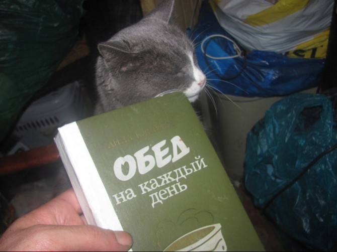 Что сказать? Двум прохожим из Астаны, Психология изьм^ Эмиграция 1988г. Донецк - изображение 1