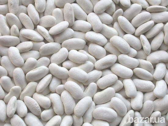 Куплю фасоль белых сортов Полтава - зображення 1