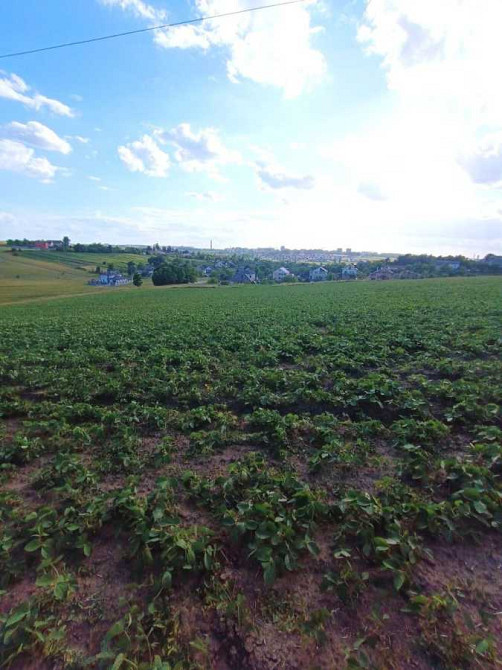 продажа земля сельскохозяйственного назначения Ровно, Бармаки, 75000 $  - зображення 3