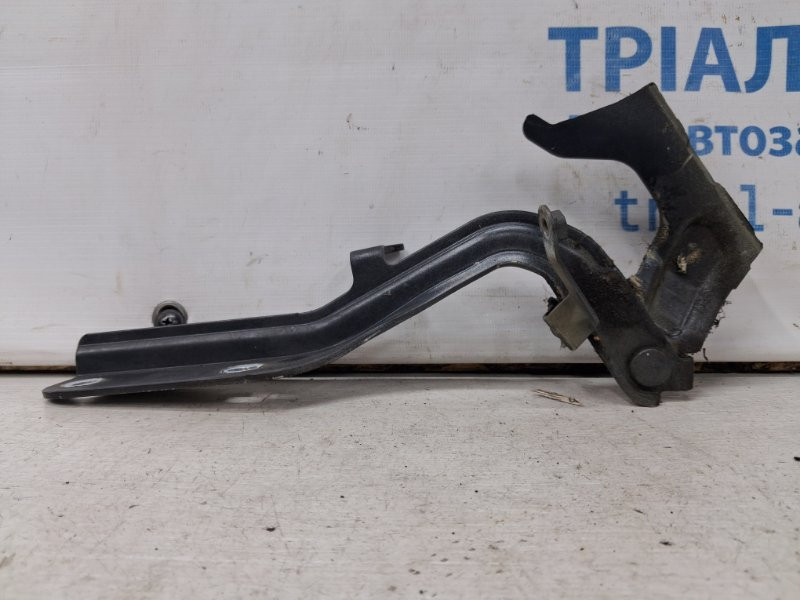 Петля капота левая Nissan Juke F15 1.6 TURBO MR16DDT 2010 (б/у) Київ - зображення 1
