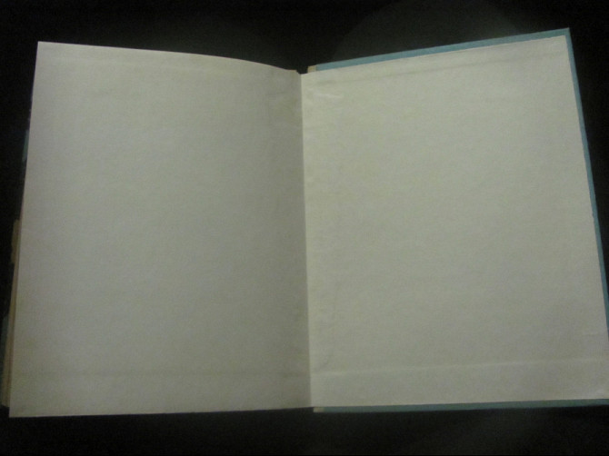 Гужва "Сліпий дощ" жизненно необходимая книга, Псиловикам в Енакиево. Донецьк - зображення 7