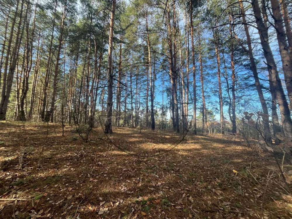 БЕЗ КОМІСІЇ ! Продаж земельної ділянки в Глевасі Код: № 264763 Київ - зображення 3