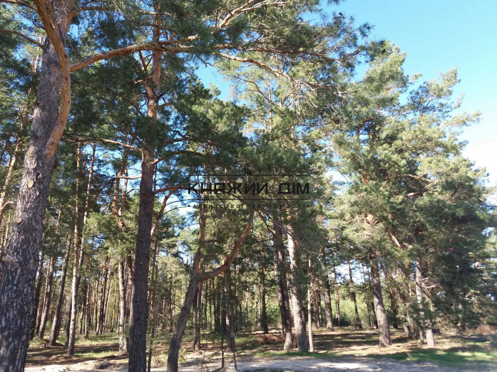 Продаж будинку. с. Хотянівка КОД 2211801 Київ - зображення 7