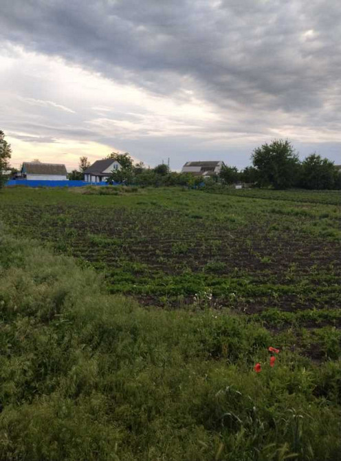 продажа участок под жилую застройку Ракитнянский, Ольшаница, 10000 $  - изображение 2