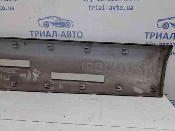 Накладка двери Hyundai Tucson 2004-2009 877212E000 (Арт. 62664) Київ
