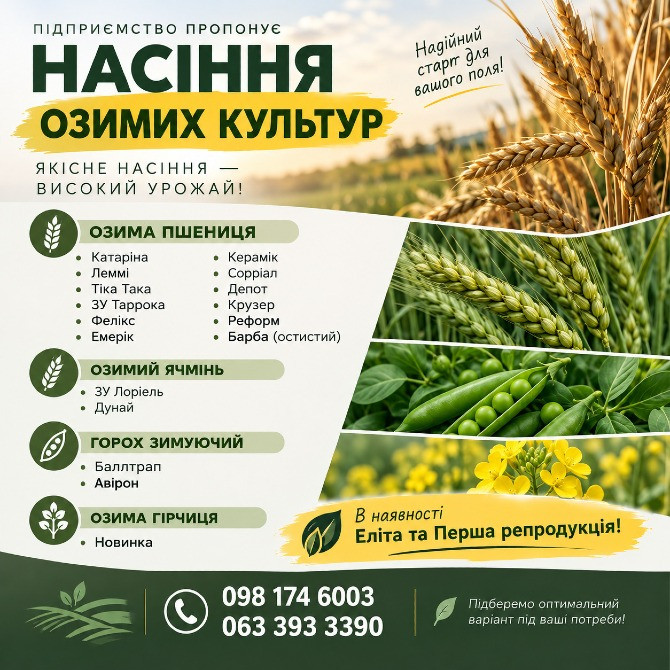 Посівний матеріал озимих культур Хмельницький - зображення 1