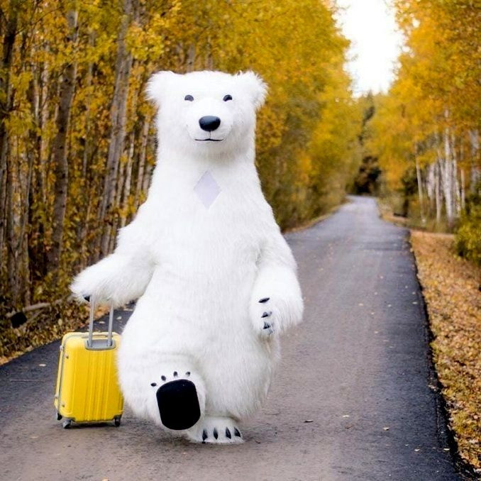 Белый медведь Шепетовка,Славута,Изяслав.Заказать мишку аниматора поздравление. Шепетовка - изображение 1