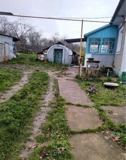 продажа 1-к дом Виньковцы, Покутинцы, 135496 грн.  - зображення 10