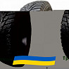 225/50 R17 Habilead IceMax RW506 98H Легкова шина Киев