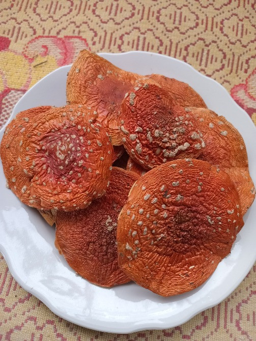 Шляпки червоного мухомора, 1 сорт. Овруч - изображение 1