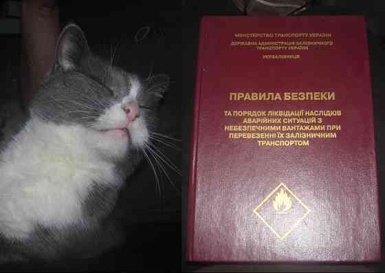 Медведь в спячку, такая-то книга. Киев 2001г. а ещё "Орехи" белка (Донецк) Донецьк