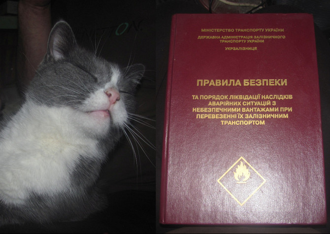 Медведь в спячку, такая-то книга. Киев 2001г. а ещё "Орехи" белка (Донецк) Донецьк - зображення 1