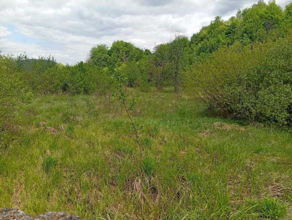 продажа земля коммерческого назначения Свалявский, Нелипино, 148350 $  - зображення 7