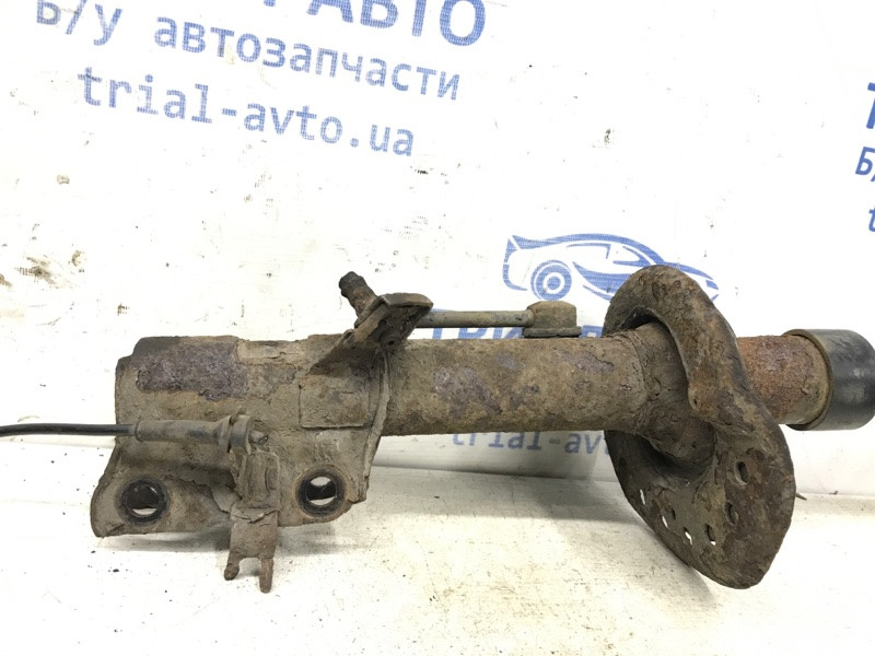 Амортизатор передний правый Nissan X-Trail T31 2.5 БЕНЗИН QR25DE 2007 (б/у) Киев - изображение 2