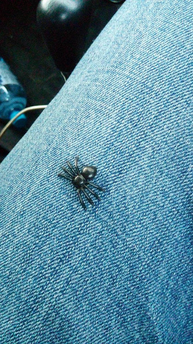 Паучки Чёрные 10 шт для хэллоуина ,для прикола Бориспіль - зображення 2