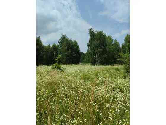 продажа земля сельскохозяйственного назначения Бородянский, Лубянка, 9370015 грн. 