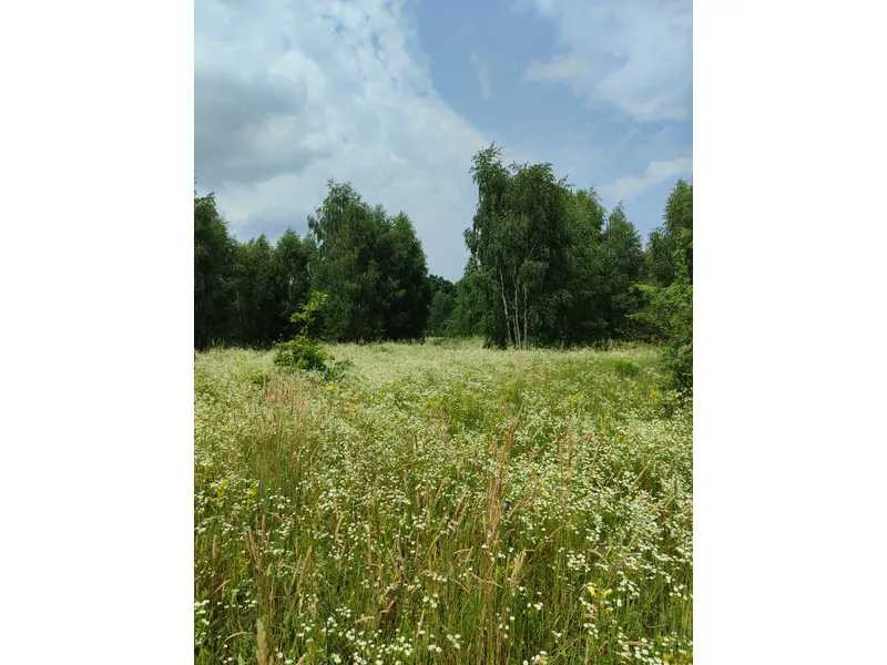 продажа земля сельскохозяйственного назначения Бородянский, Лубянка, 9370015 грн.  - зображення 3