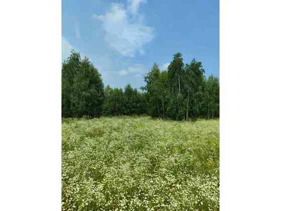 продажа земля сельскохозяйственного назначения Бородянский, Озера, 13082028 грн. 