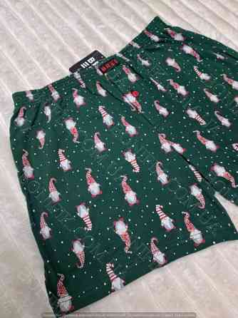 Мужские зелёные семейные трусы с рисунком гномов ТМ "BRES" (арт. MBXK 307/01/140) Кривий Ріг