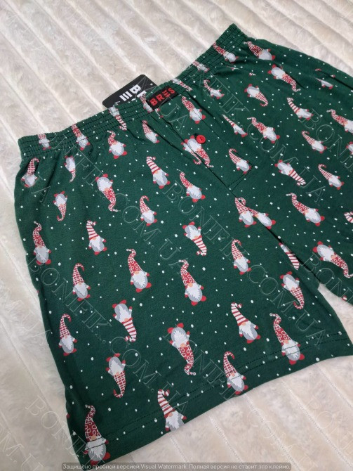 Мужские зелёные семейные трусы с рисунком гномов ТМ "BRES" (арт. MBXK 307/01/140) Кривий Ріг - зображення 4