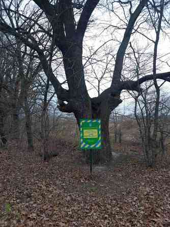 Продам ідеальну ділянку в Хотянівці — біля ДЕСНИ та дубів княгині Ольги! Вишгород