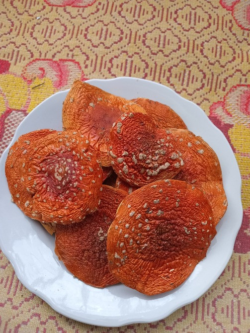 Шляпки червоного мухомора, 1 сорт. Овруч - изображение 3