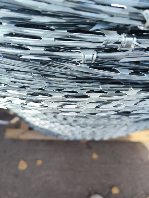 колюче-ріжуче загородження «Єгоза-Статус» Житомир - изображение 1