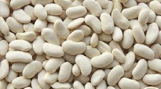 Закуповуємо білу квасолю на переробку Івано-Франківськ - зображення 1