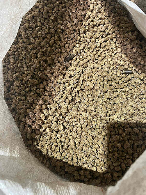 Продам паливні деревинно-тирсові дубові гранули (пелети) . Розмір 6 мм. Олександрія - зображення 11