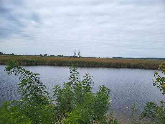 продажа земля сельскохозяйственного назначения Бориспольский, Вороньков, 958800 грн. 