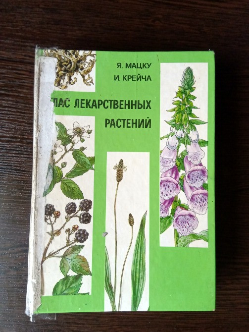 Книга: Лекарственные растения. Львов - изображение 1