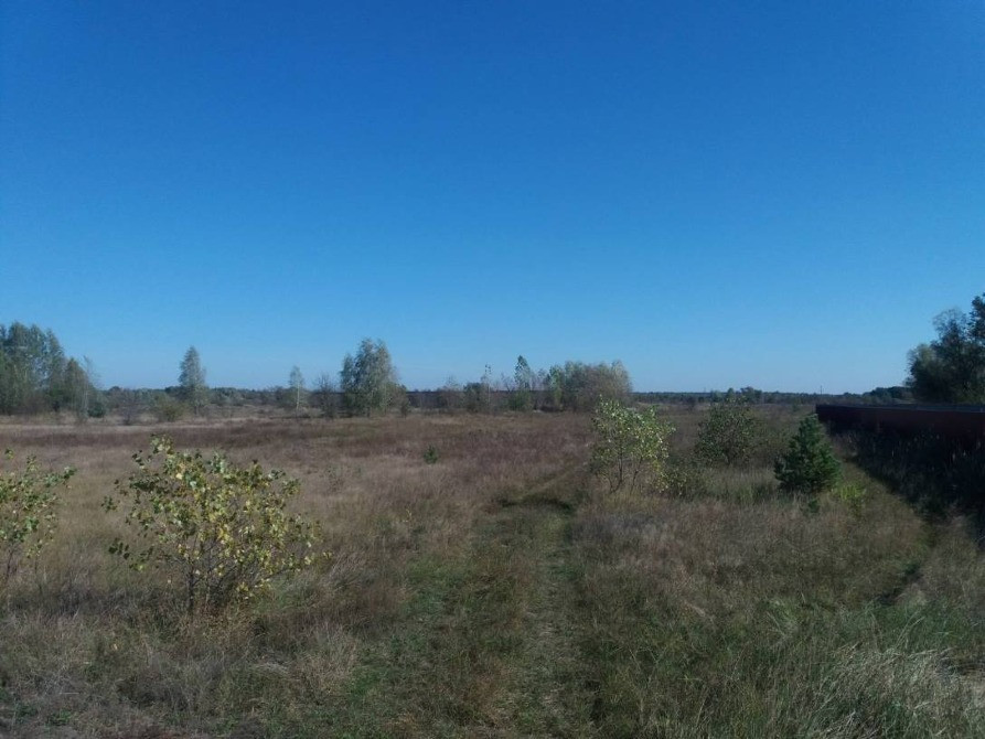 Земельна ділянка 3,5 Га. Промисловість. Мар'янівка Макарів - зображення 1